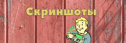 скриншоты fallout 76